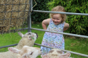 Farm Animals Visit Nursery Farm Animals Visit Nursery