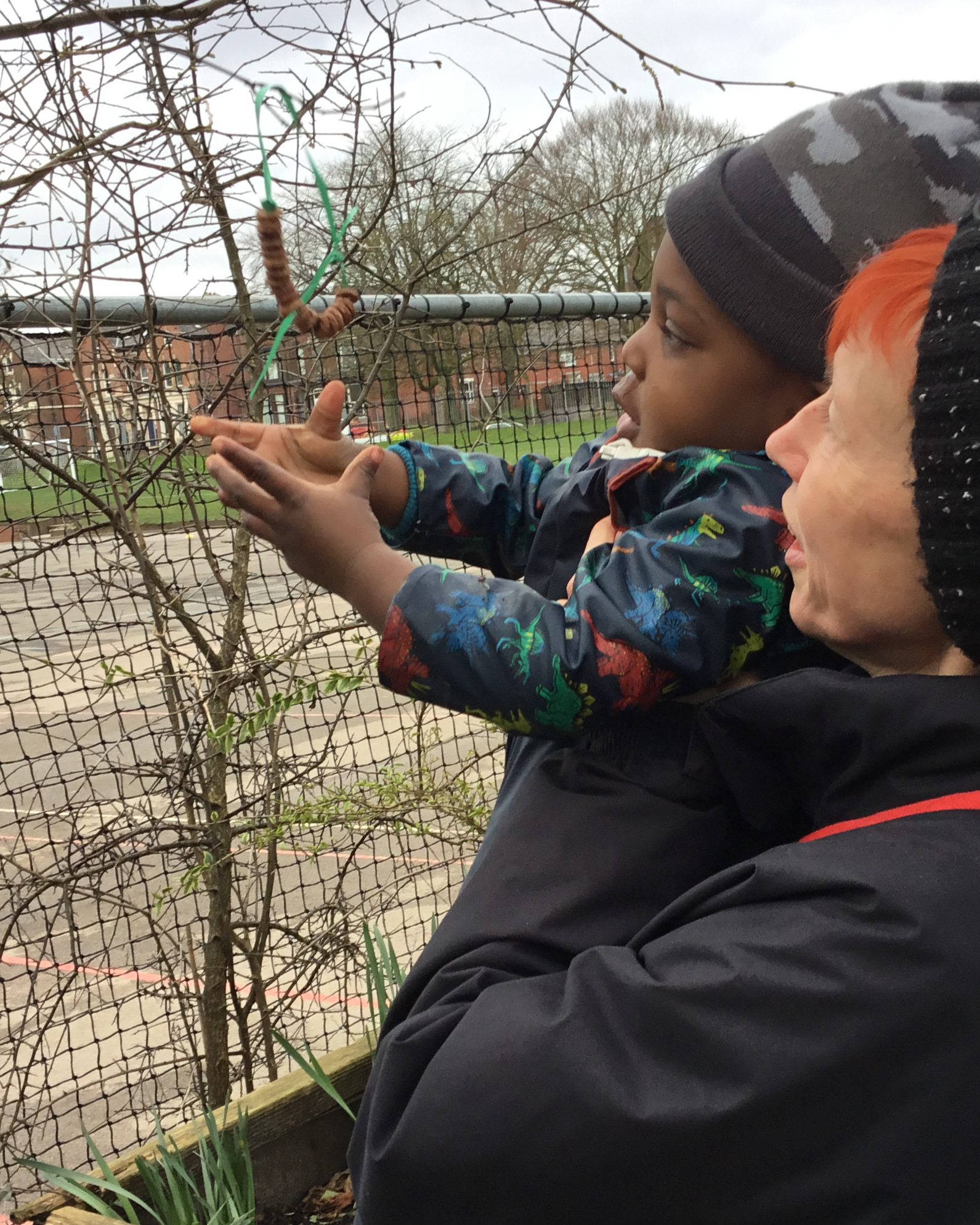 Making Bird Feeders