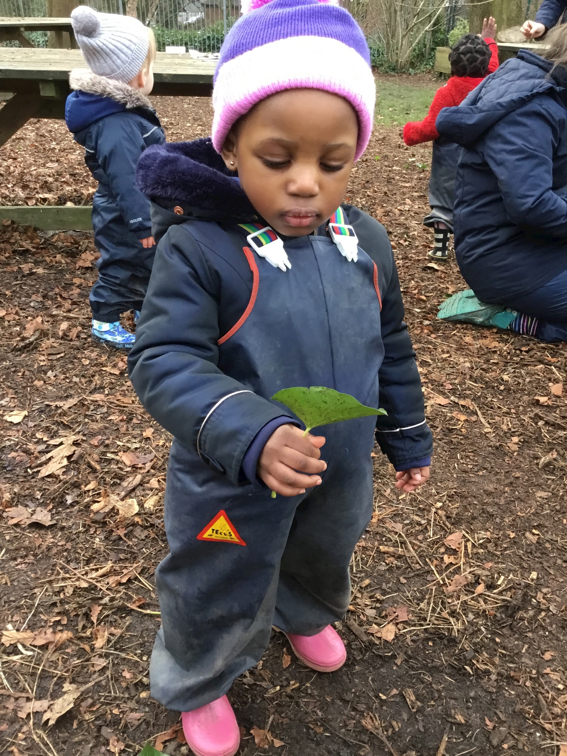 Nature Hunt for Toddlers