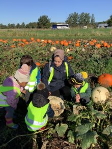 Nursery Children Enjoy Pumpkin Picking at Windmill Farm Nursery Children Enjoy Pumpkin Picking at Windmill Farm