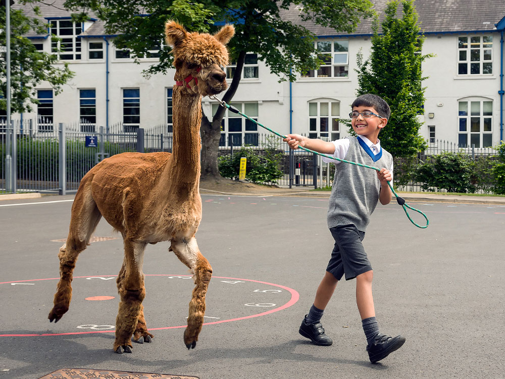 Bolton School Infants students.